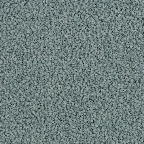 Coastal Vision II