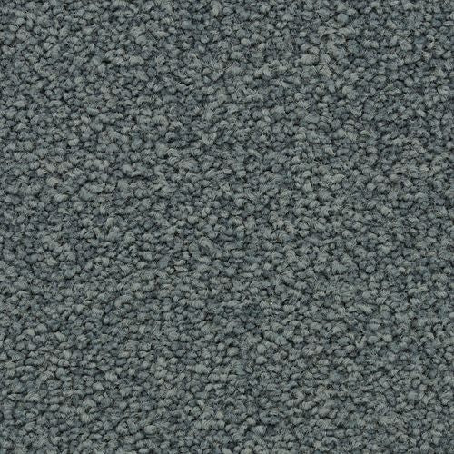 Coastal Vision II