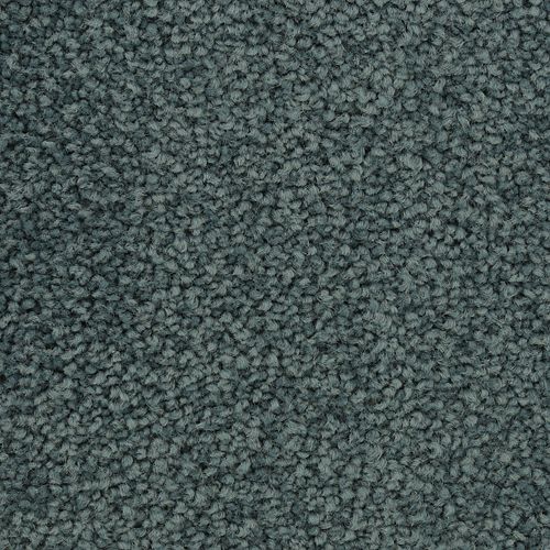 Coastal Vision II