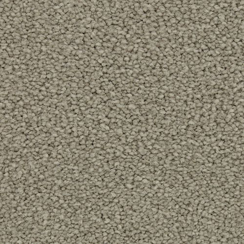Coastal Vision II
