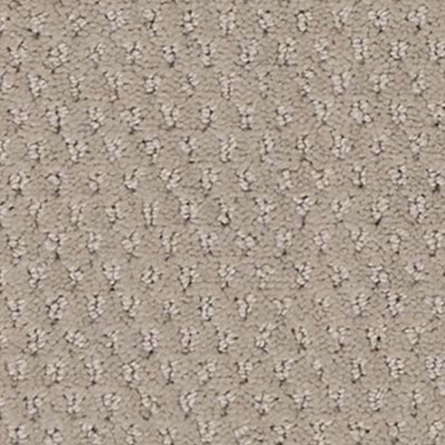Dynamic Fusion in Spirited Carpet