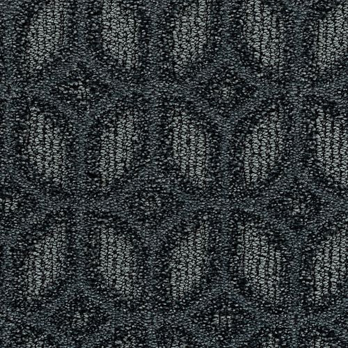 Regal View in Liberty Carpet