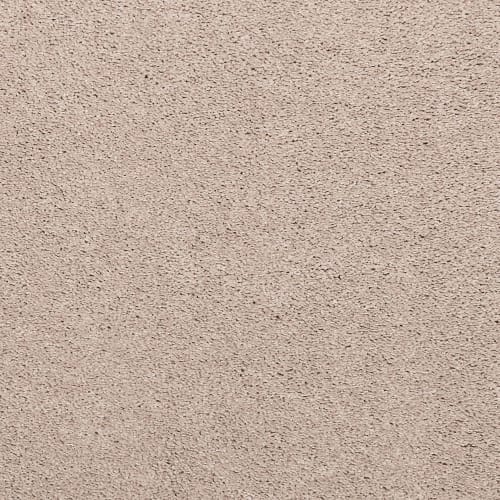 Noble Surface in Nomad