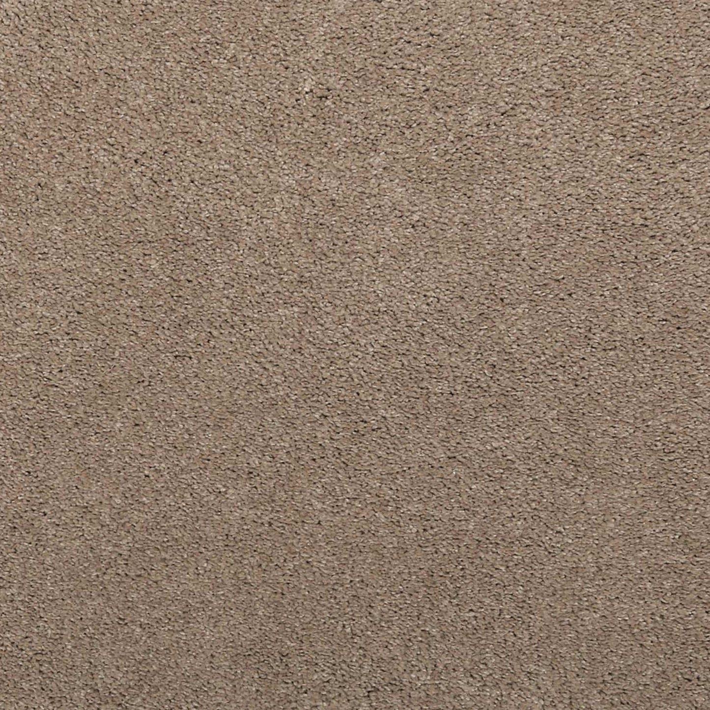 Noble Surface
