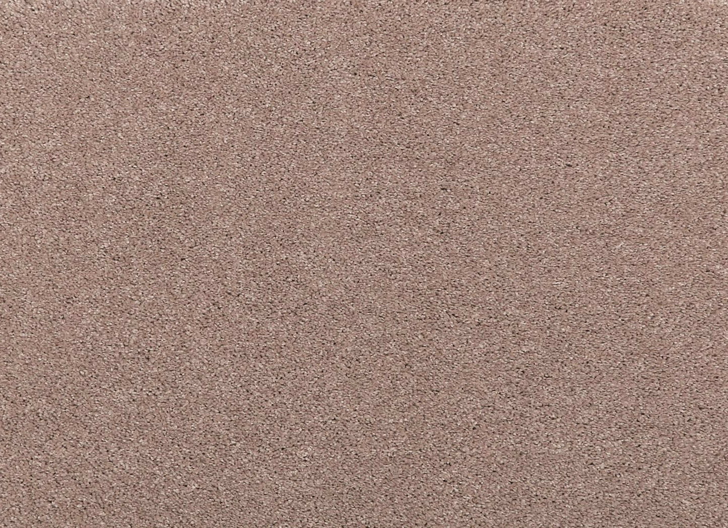 Noble Surface