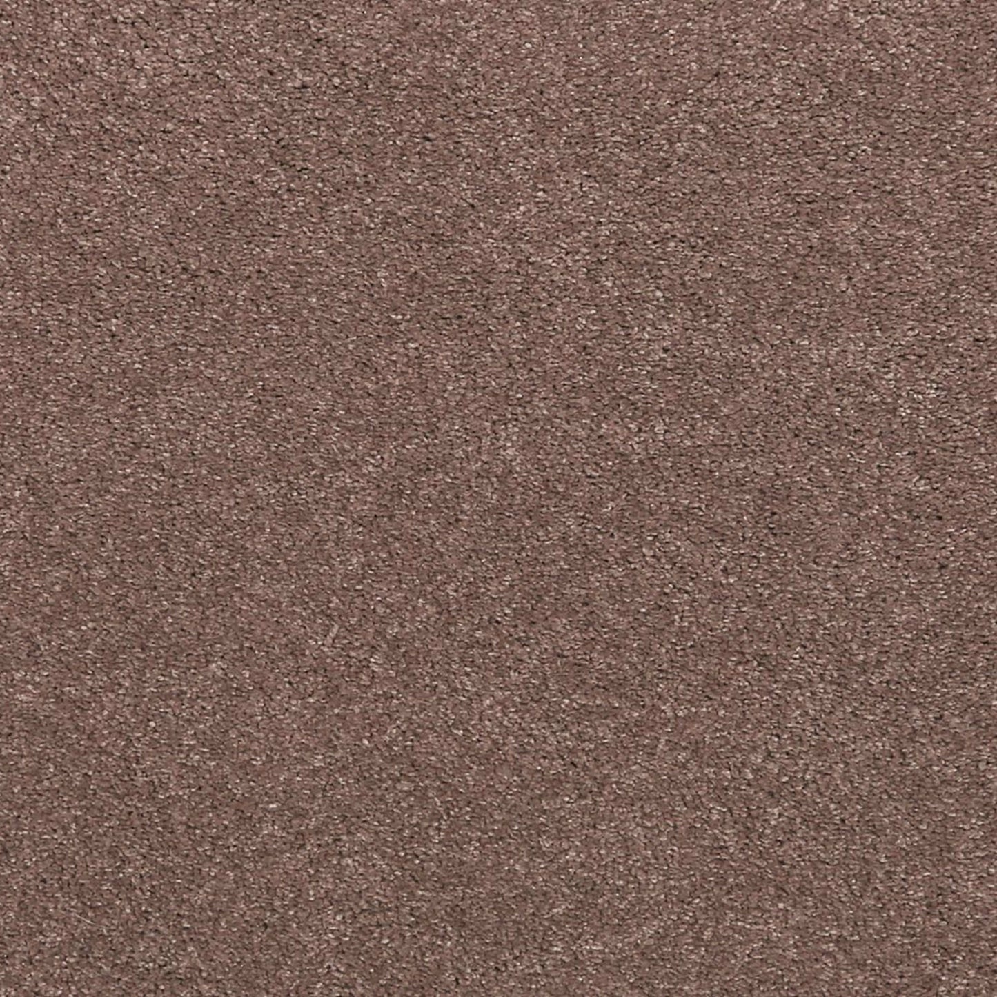 Noble Surface