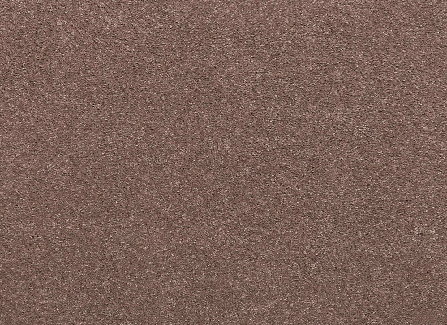 Noble Surface