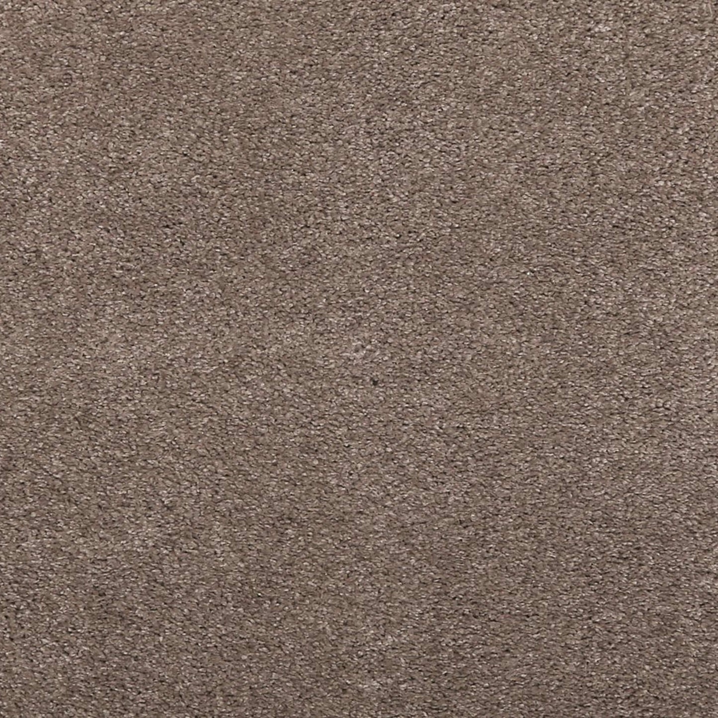 Noble Surface