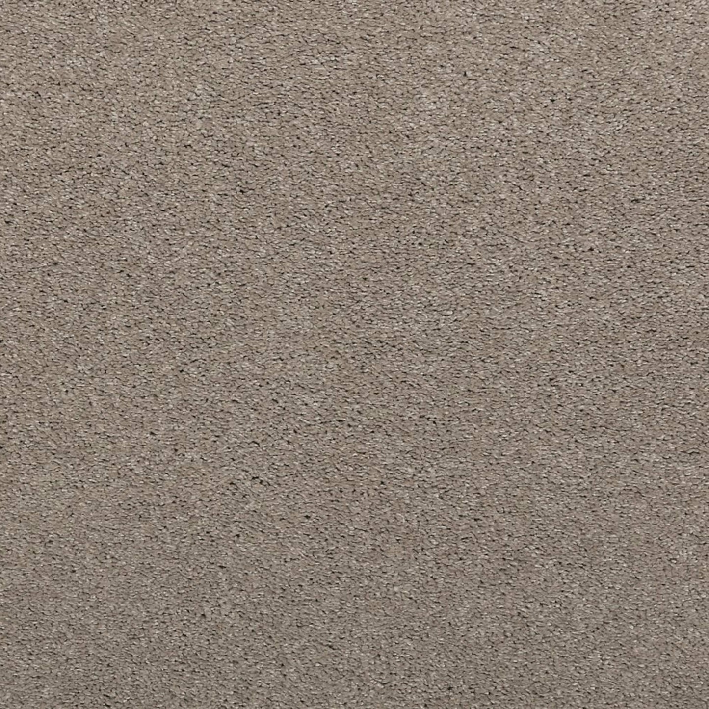 Noble Surface