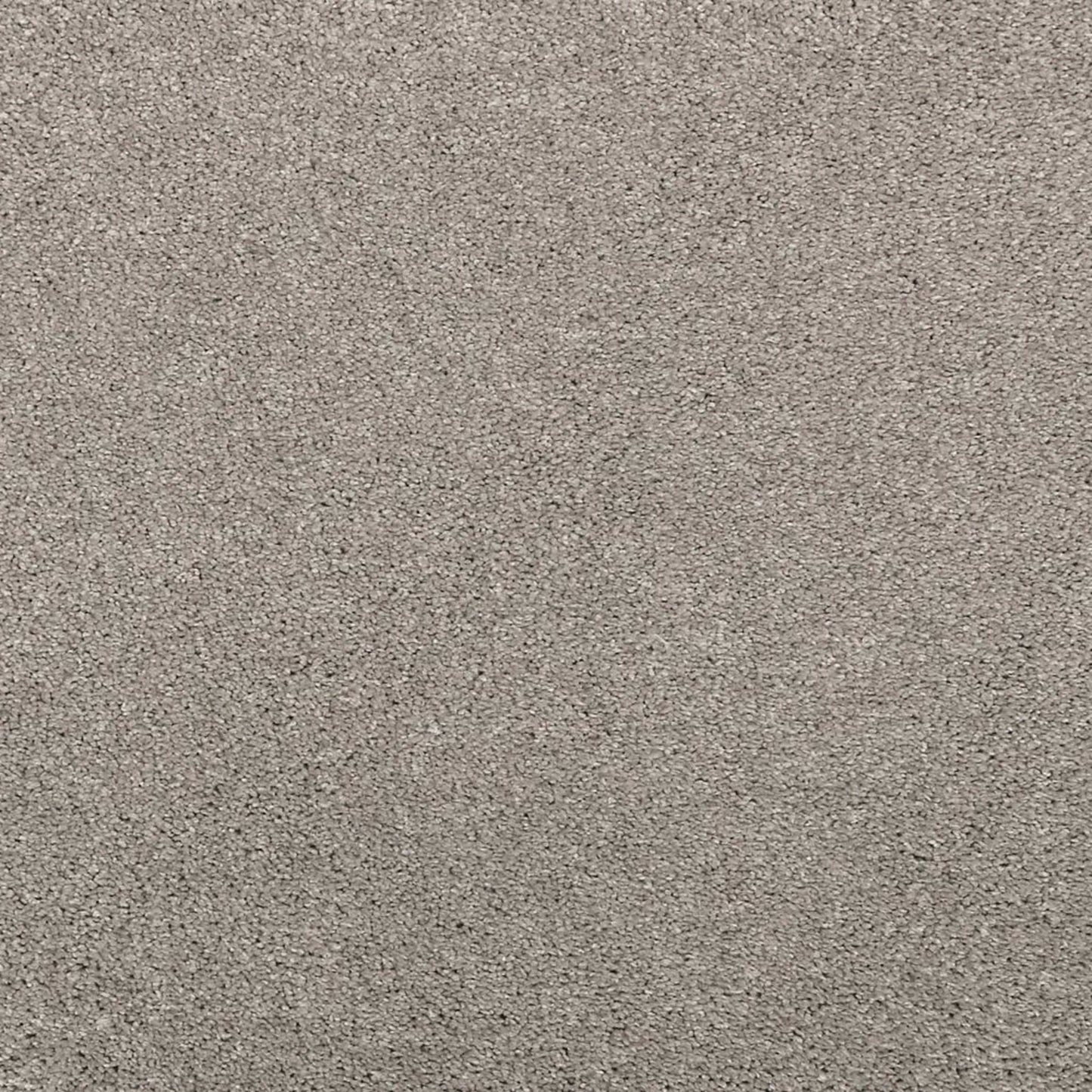 Noble Surface