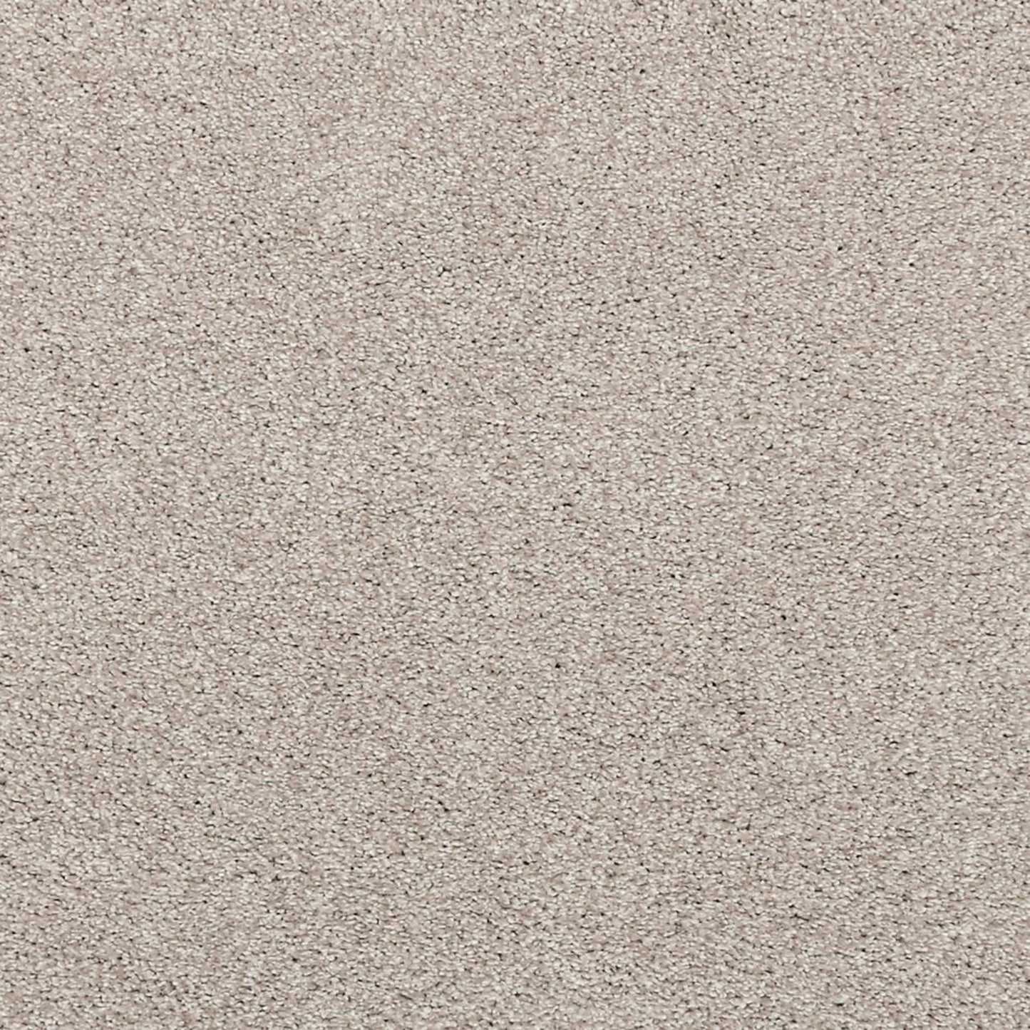 Noble Surface