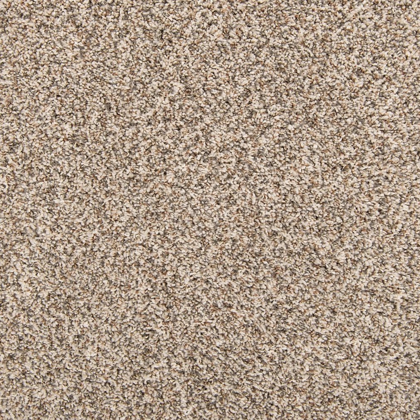 Classic Hues II in Melody Carpet