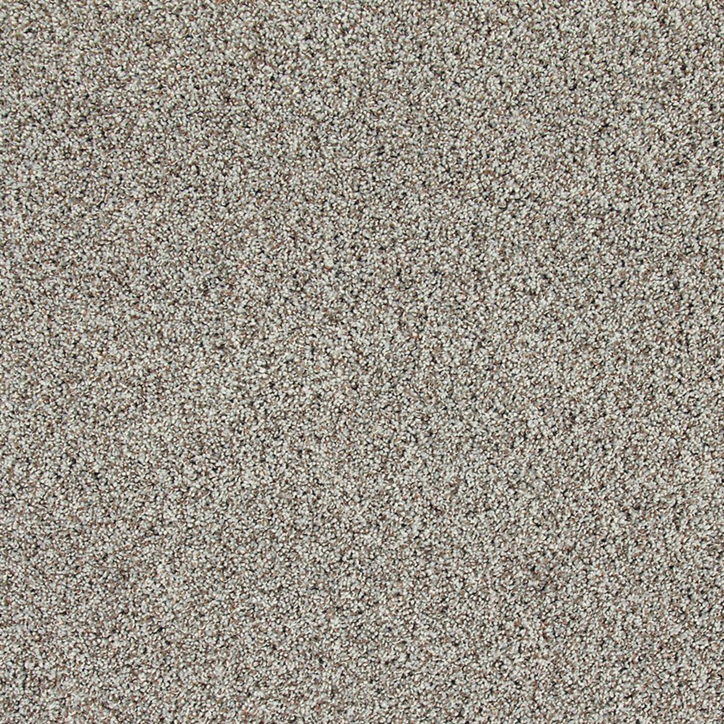 Soft Description II in Frozen Tundra Carpet