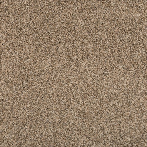 Remodeled II in Flax Seed