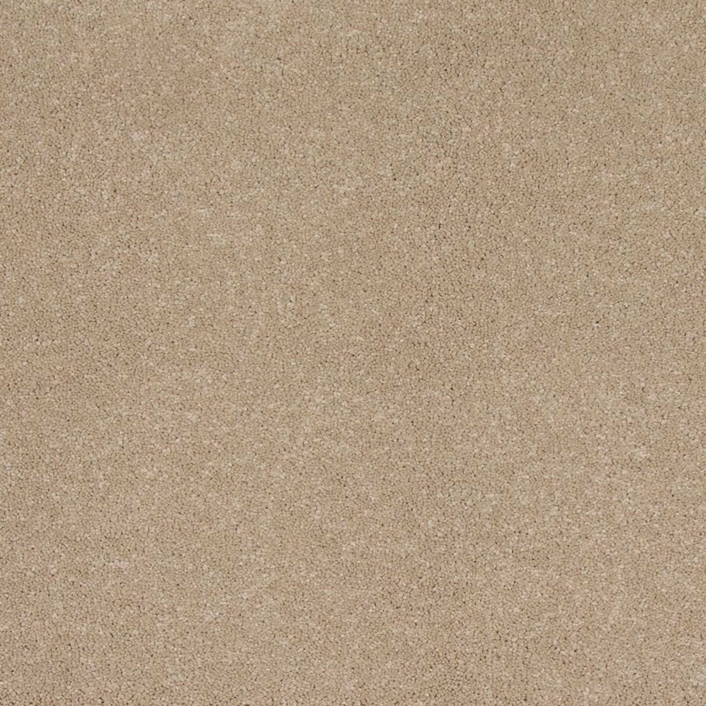 Timeless Saga I in Sandy Shores Carpet