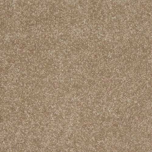 Timeless Saga II in Pale Birch
