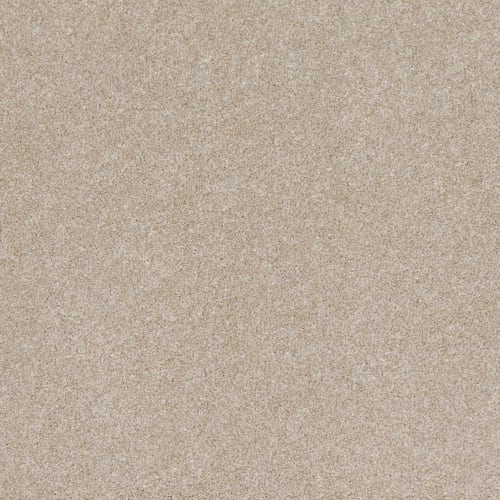Timeless Saga III in Cashmere