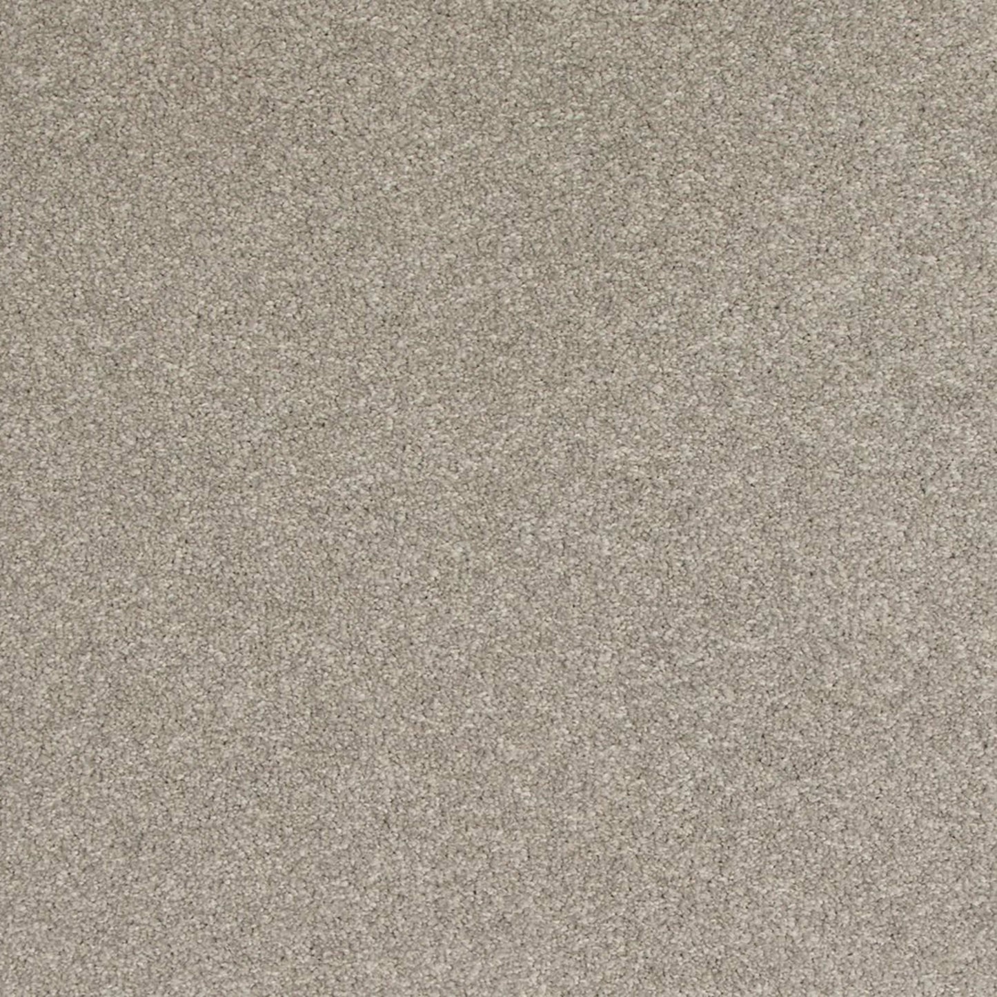 Timeless Saga III in Gentle Fog Carpet