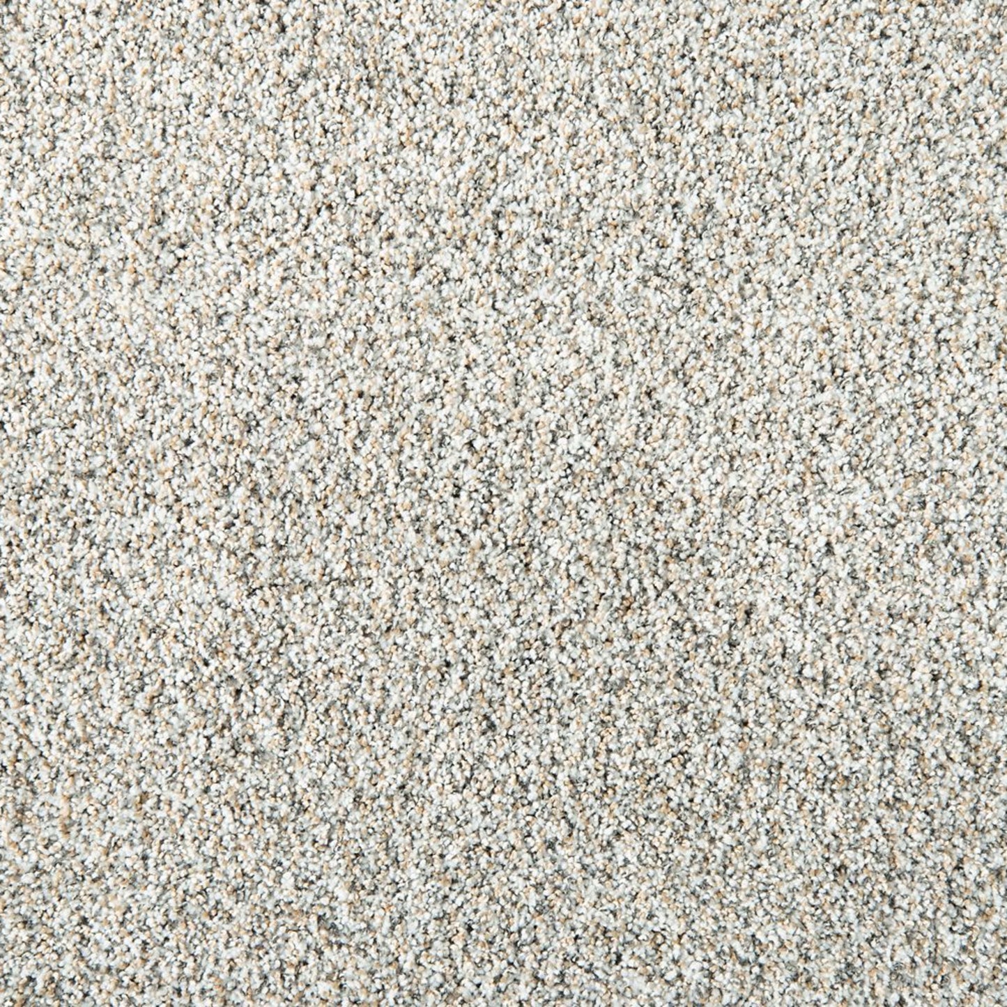 Leon in San Michele Carpet
