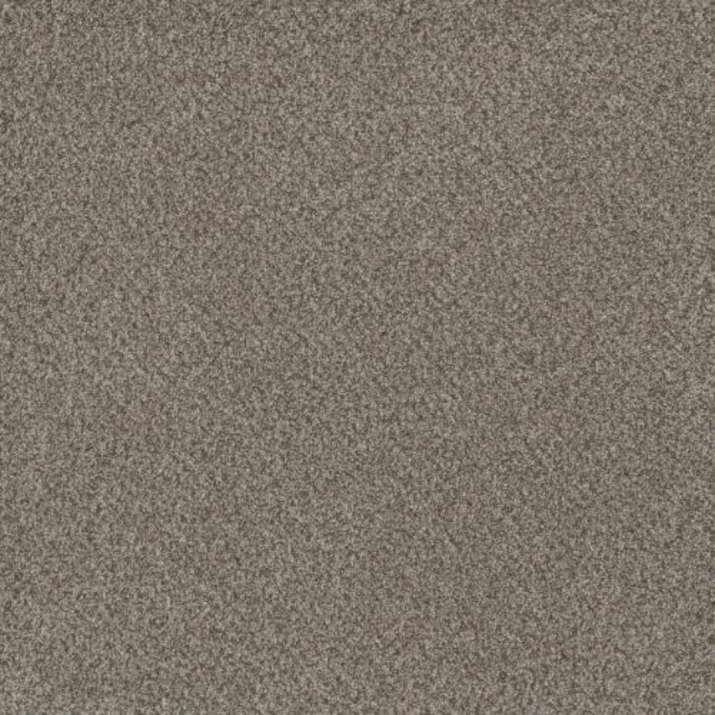 TITAN I in Oakland Carpet