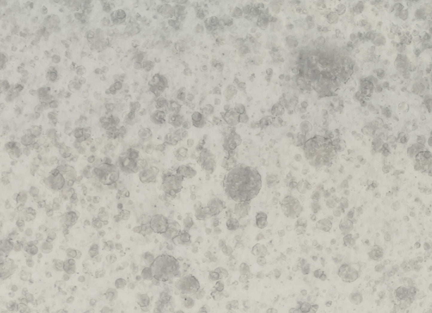 Obsidian in Antique Silver 3x12 Glossy