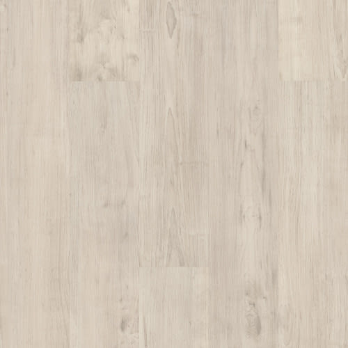 PURVIEW SPC CLICK in Antler