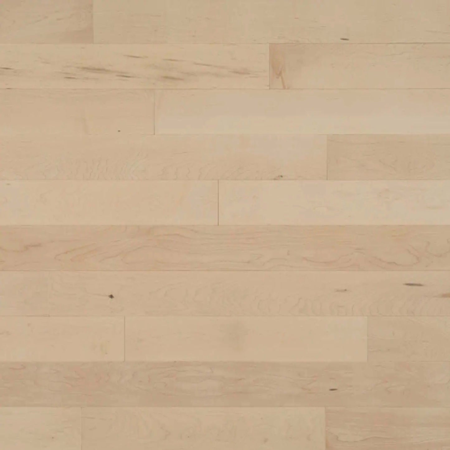 Pure Hard Maple - Solid in Boreal Hardwood