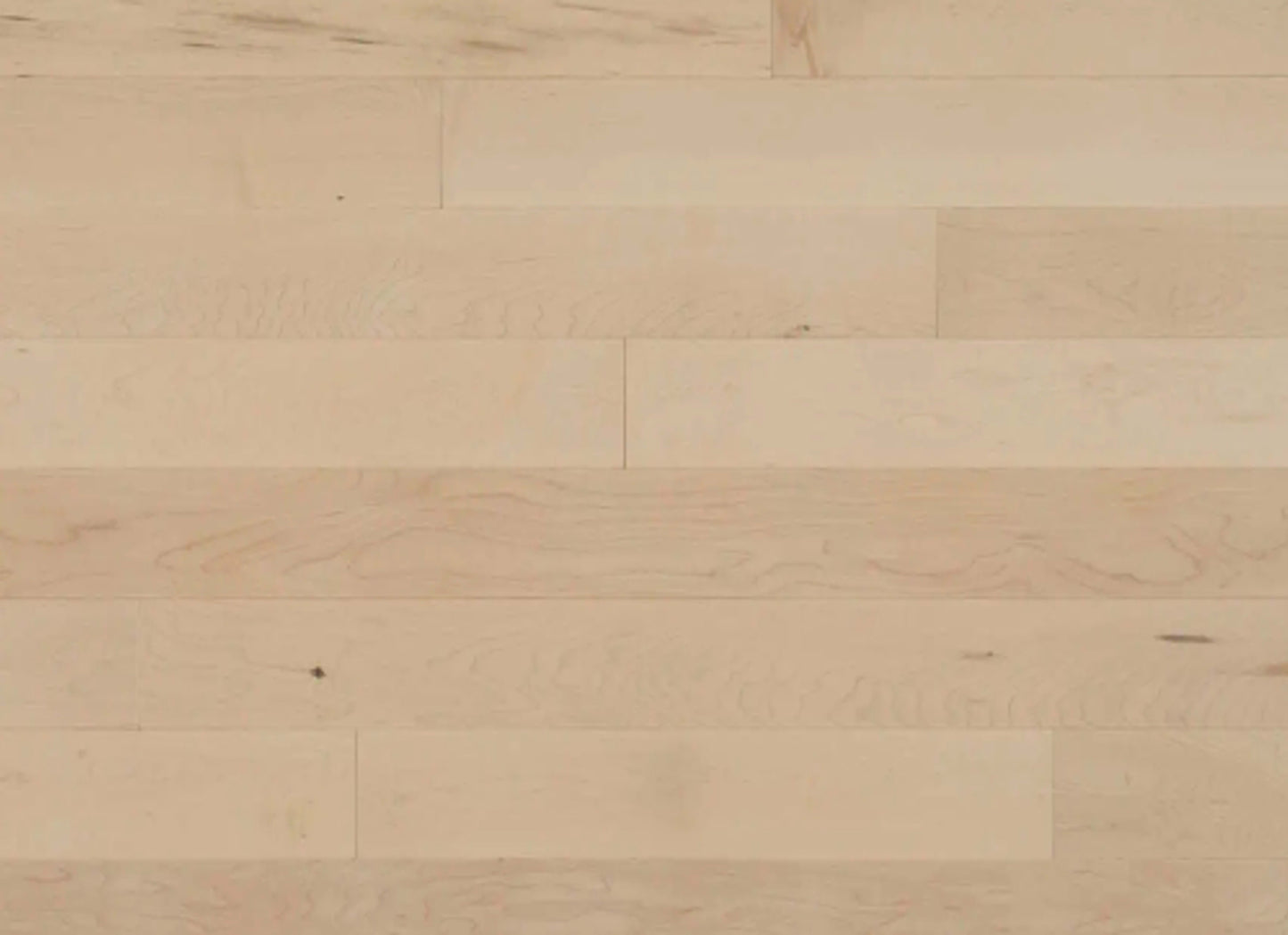 Pure Hard Maple - Solid in Boreal