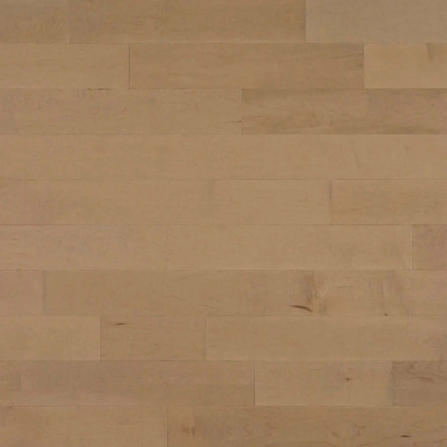 Pure Hard Maple - Solid in Viggo Hardwood