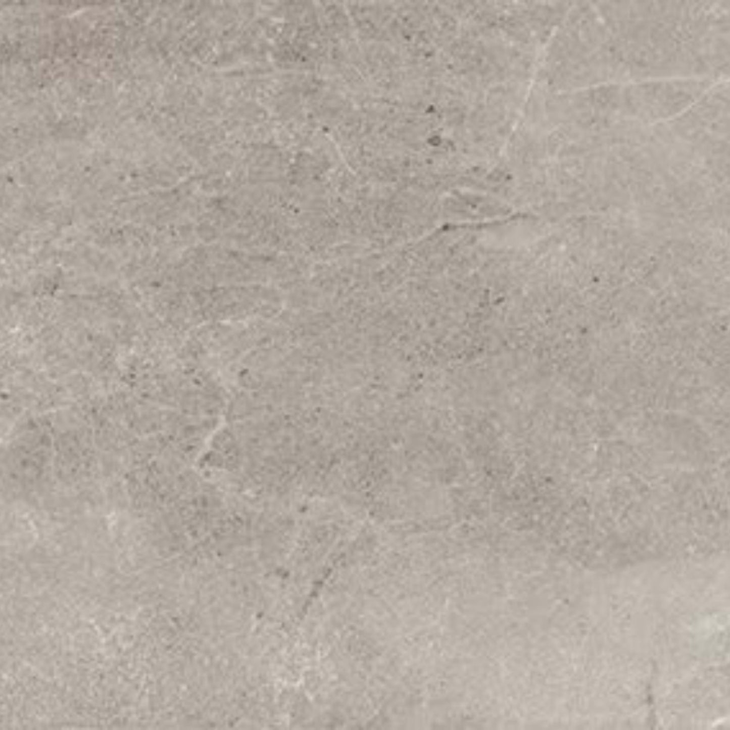 Primstone in Ash-12x24 Tile