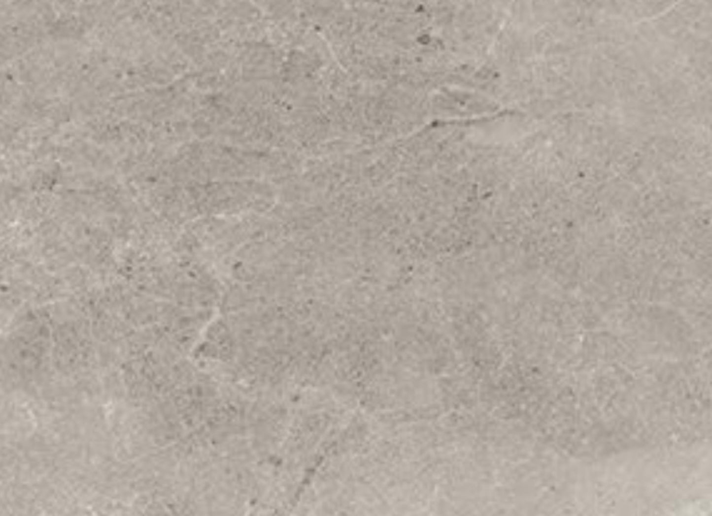 Primstone in Ash-12x24