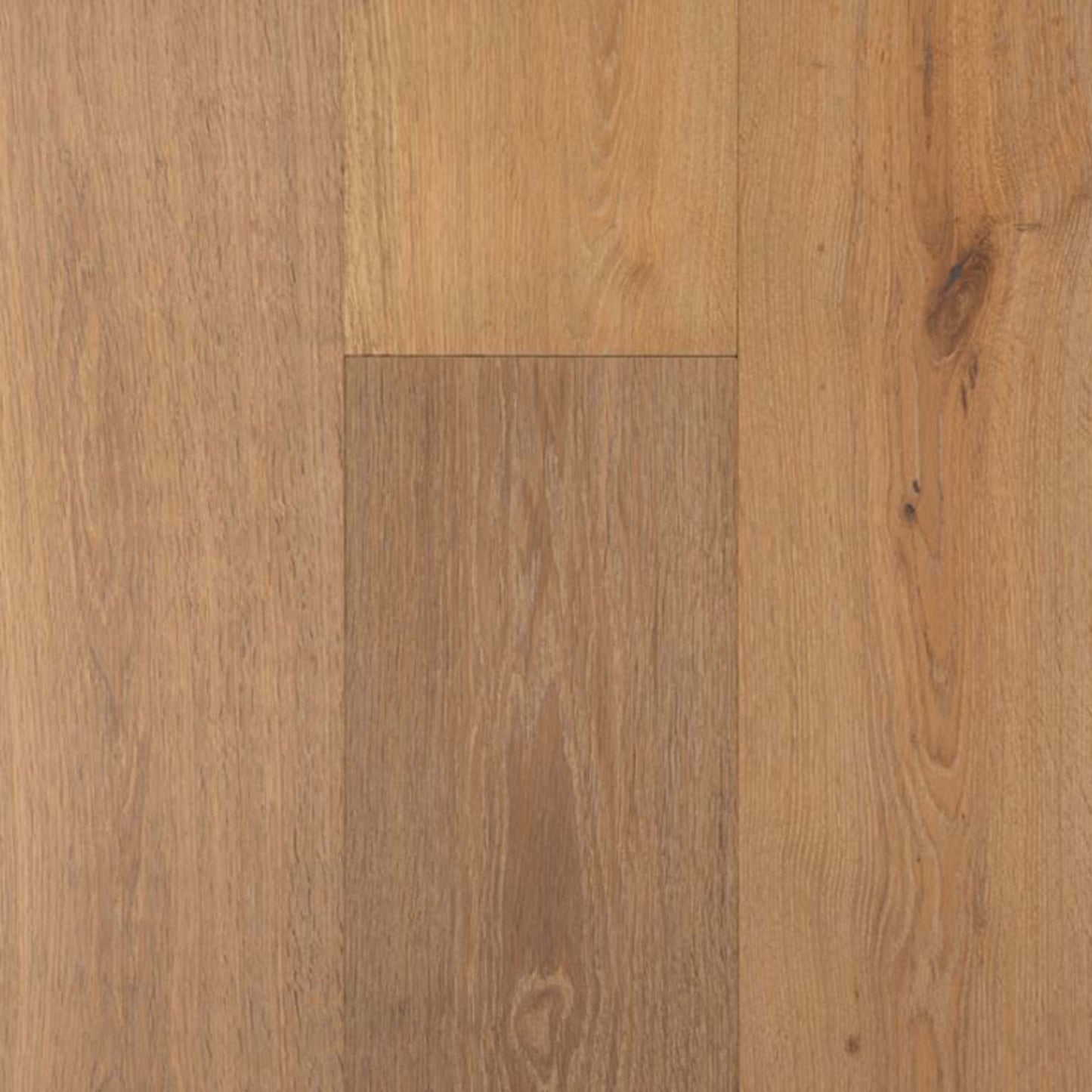 Tresor in Jolie Hardwood