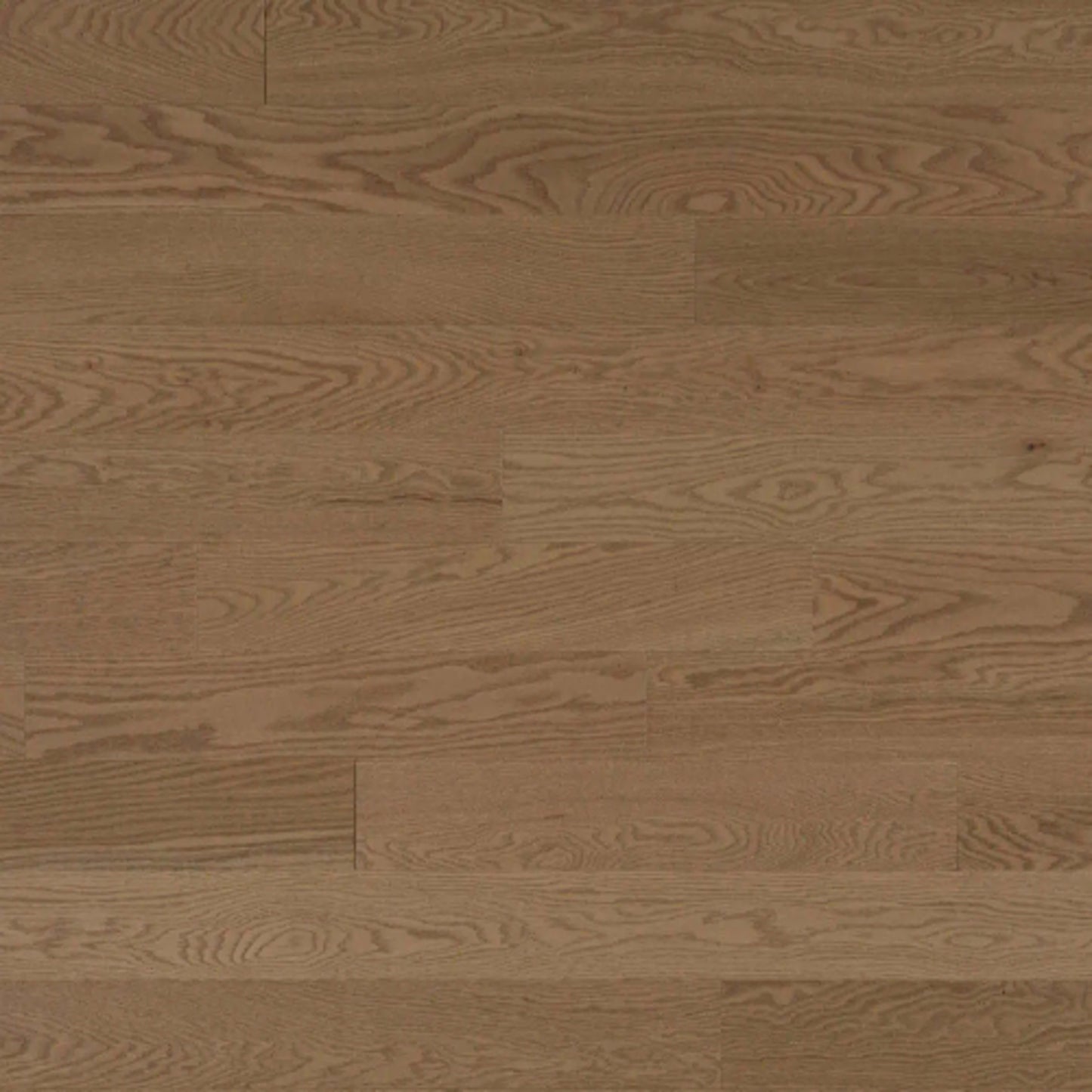 Pure Red Oak - Solid in Aurora Hardwood