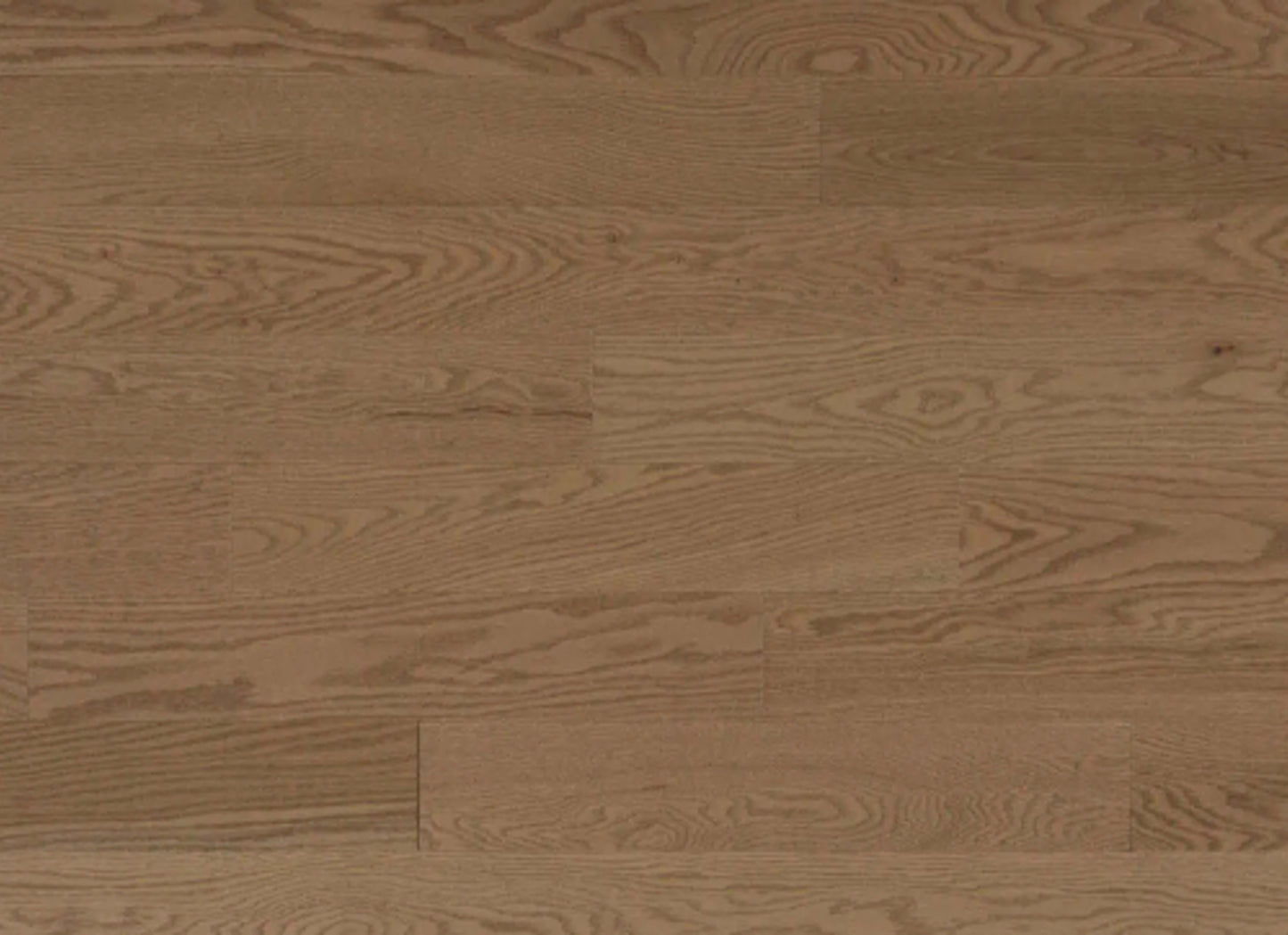 Pure Red Oak - Solid in Aurora