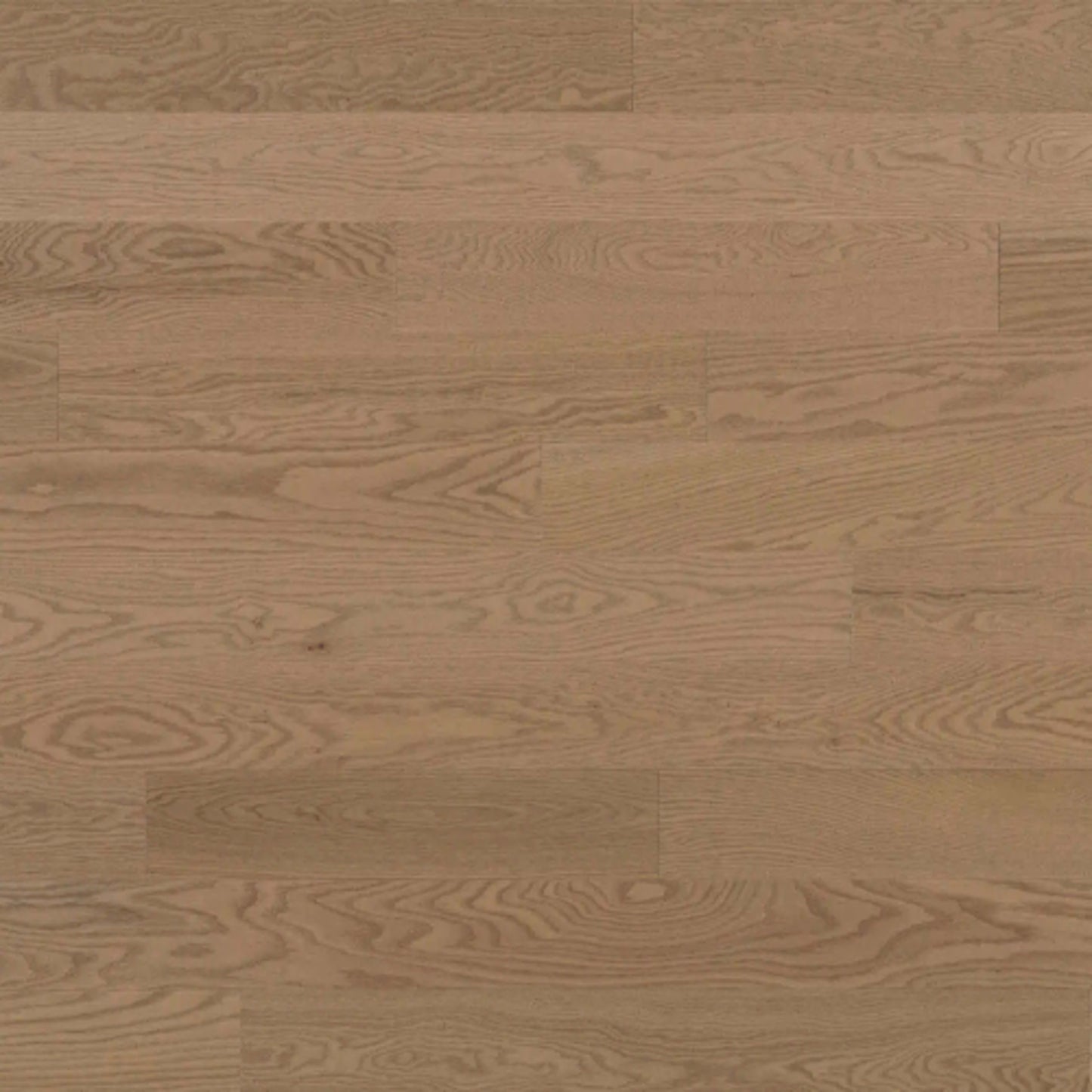 Pure Red Oak - Solid in Bergen Hardwood