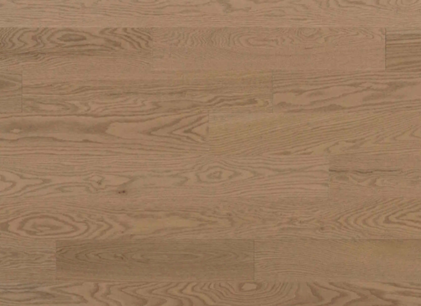 Pure Red Oak - Solid in Bergen