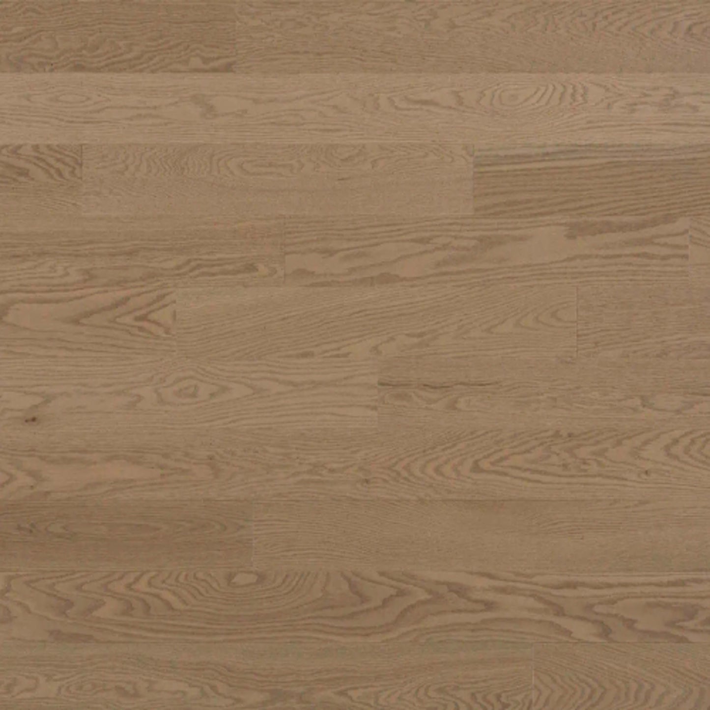 Pure Red Oak - Solid in Scandina Hardwood