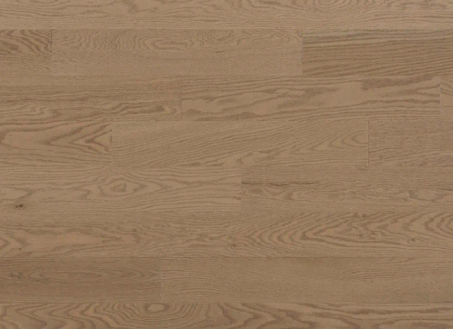 Pure Red Oak - Solid in Scandina