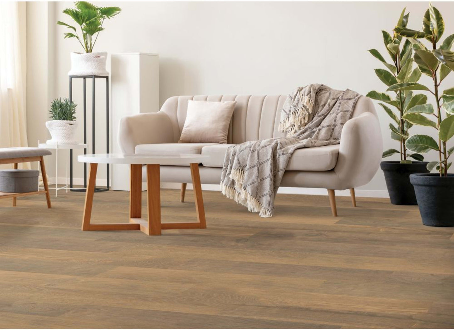 Native Ridge in Riverbank Oak