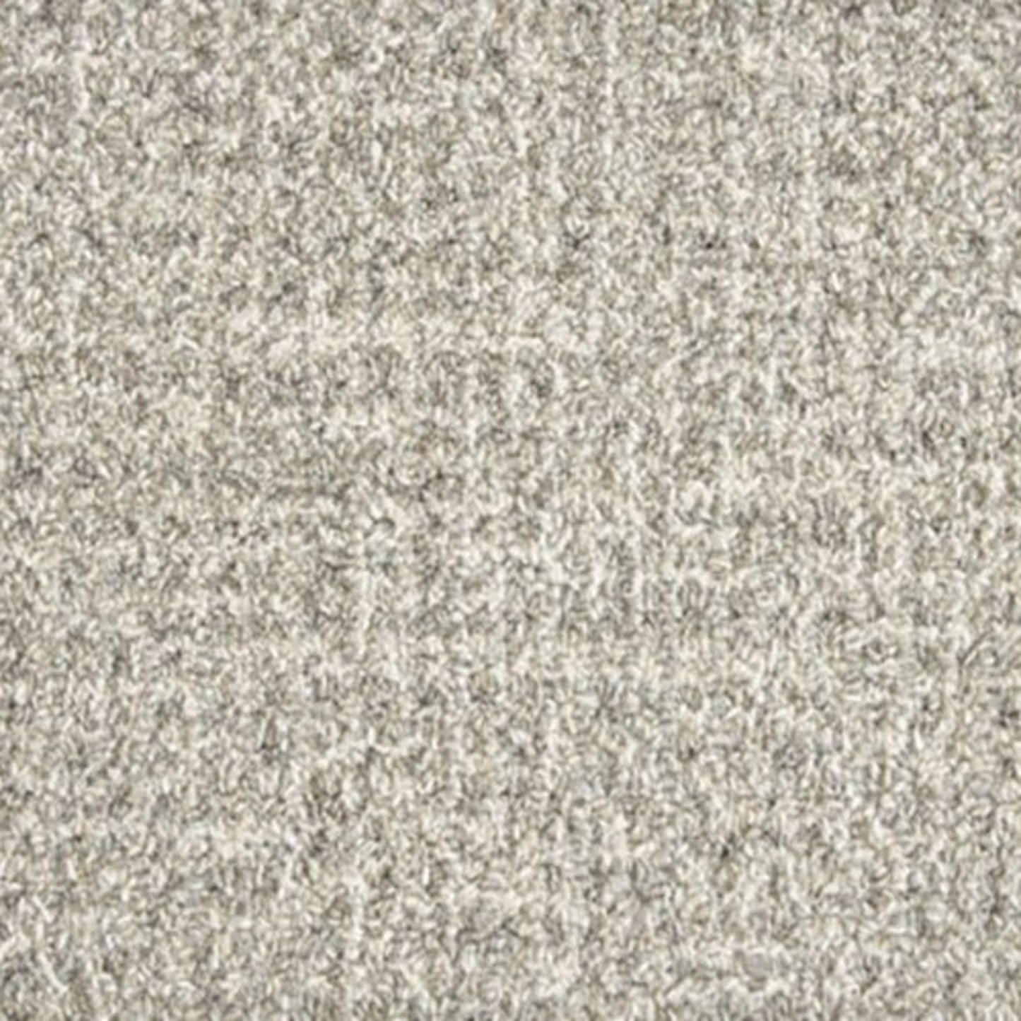 Padma - Grey Frost