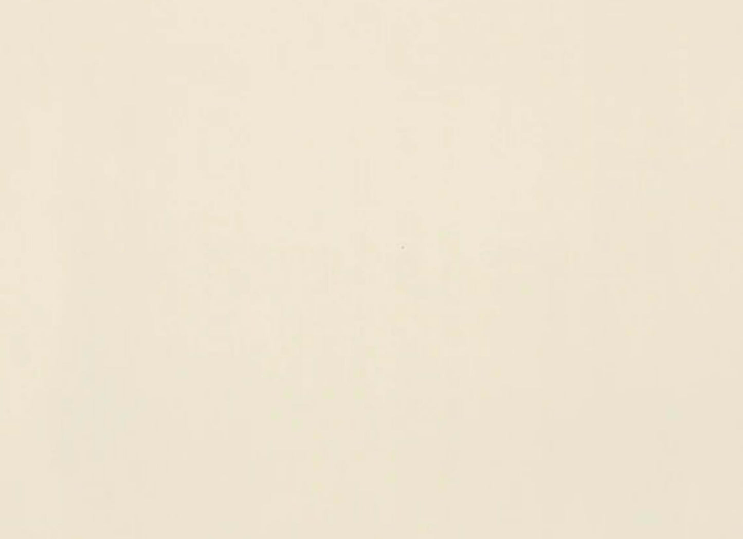 Clay Canvas in Paint-12x24-Polished