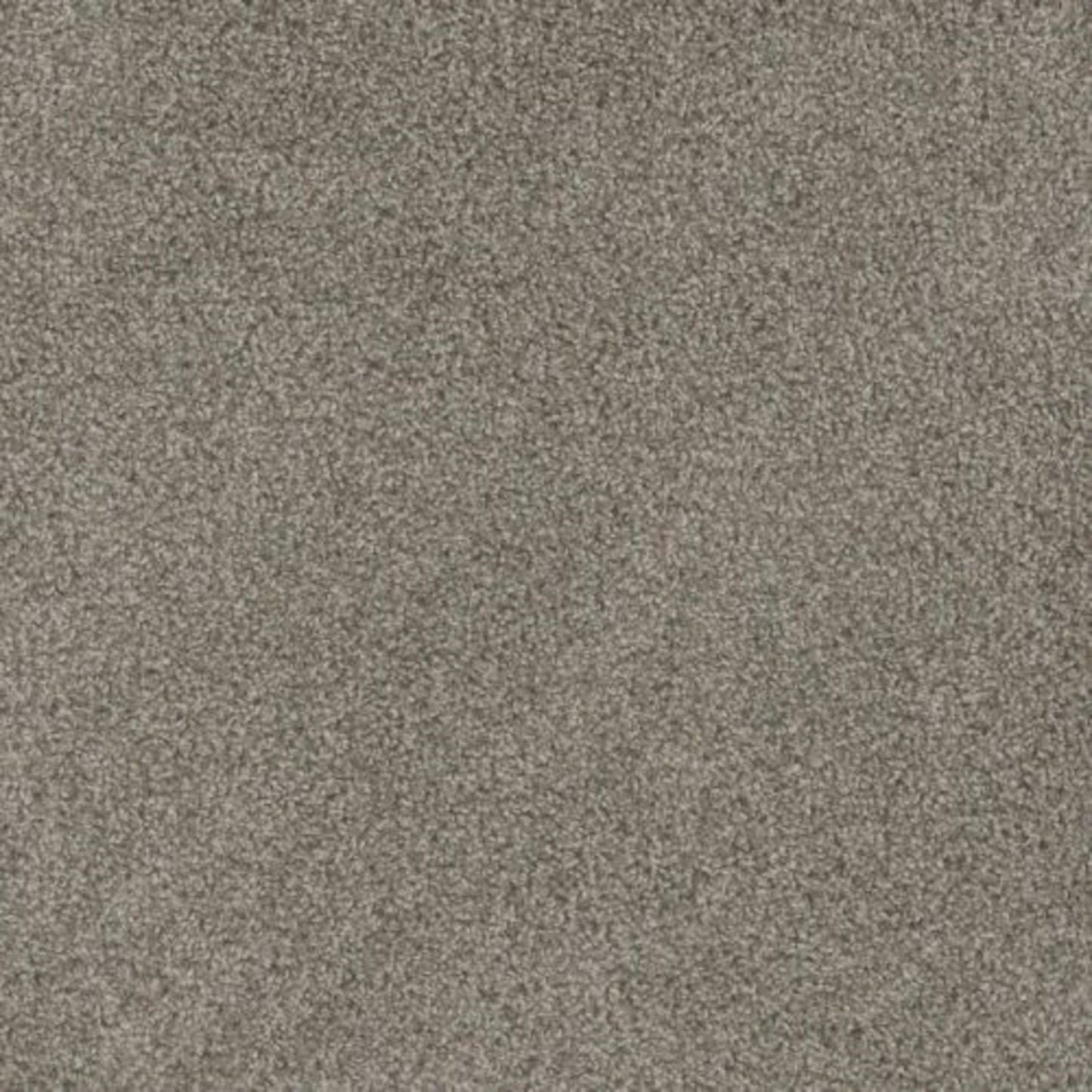 MILL CREEK I in Palmdale Carpet