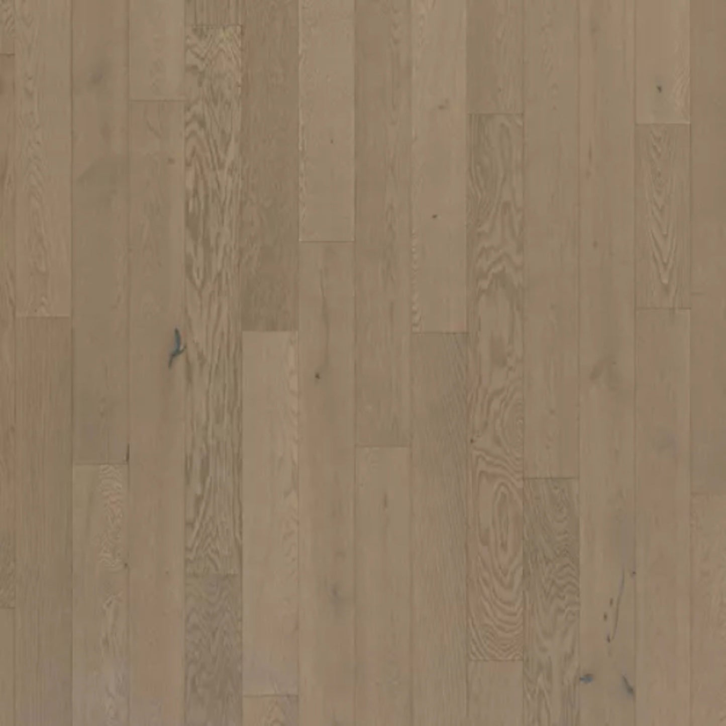 Camden Park in Park Avenue Hardwood