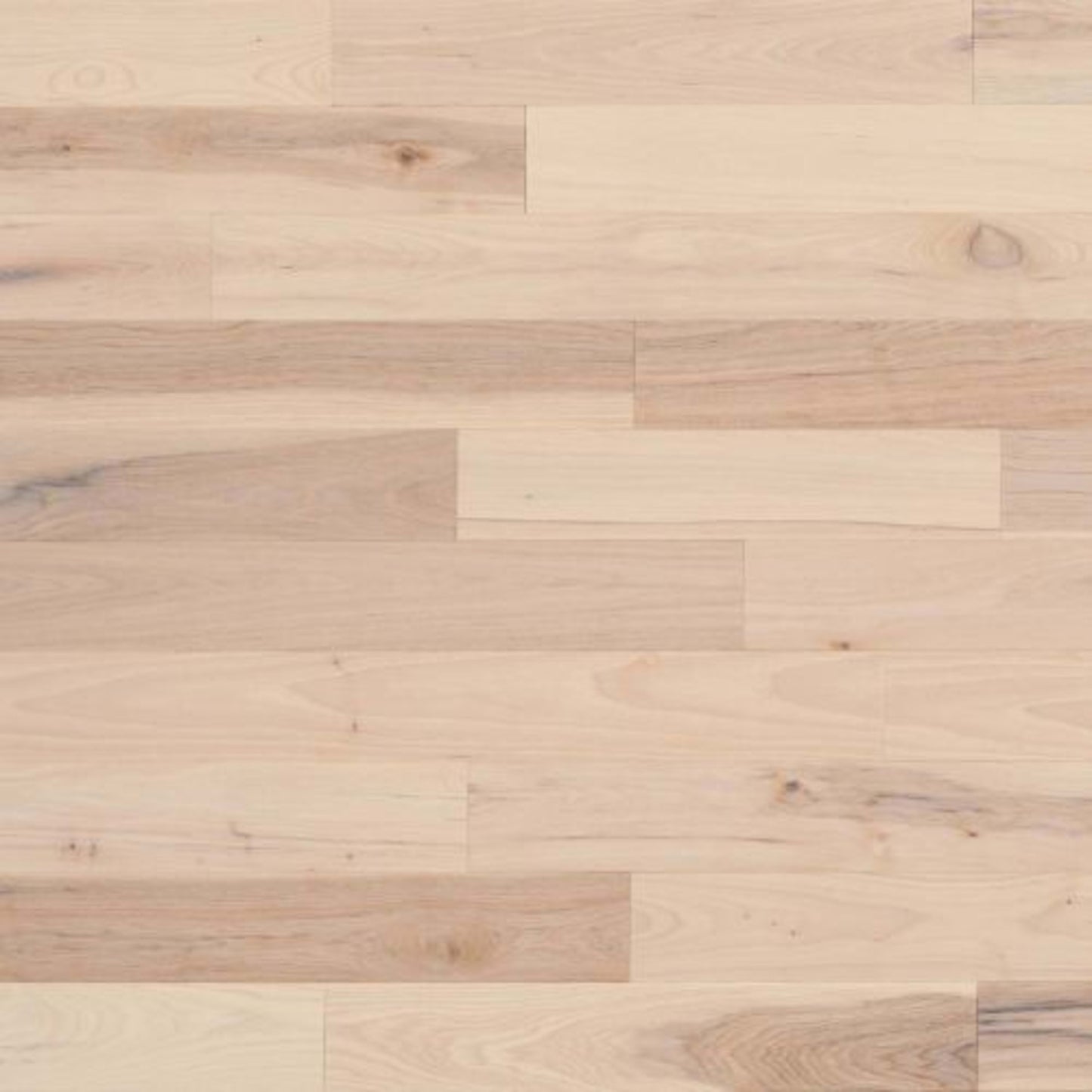 Ambiance Collection in Persia 3 1/4" Hardwood