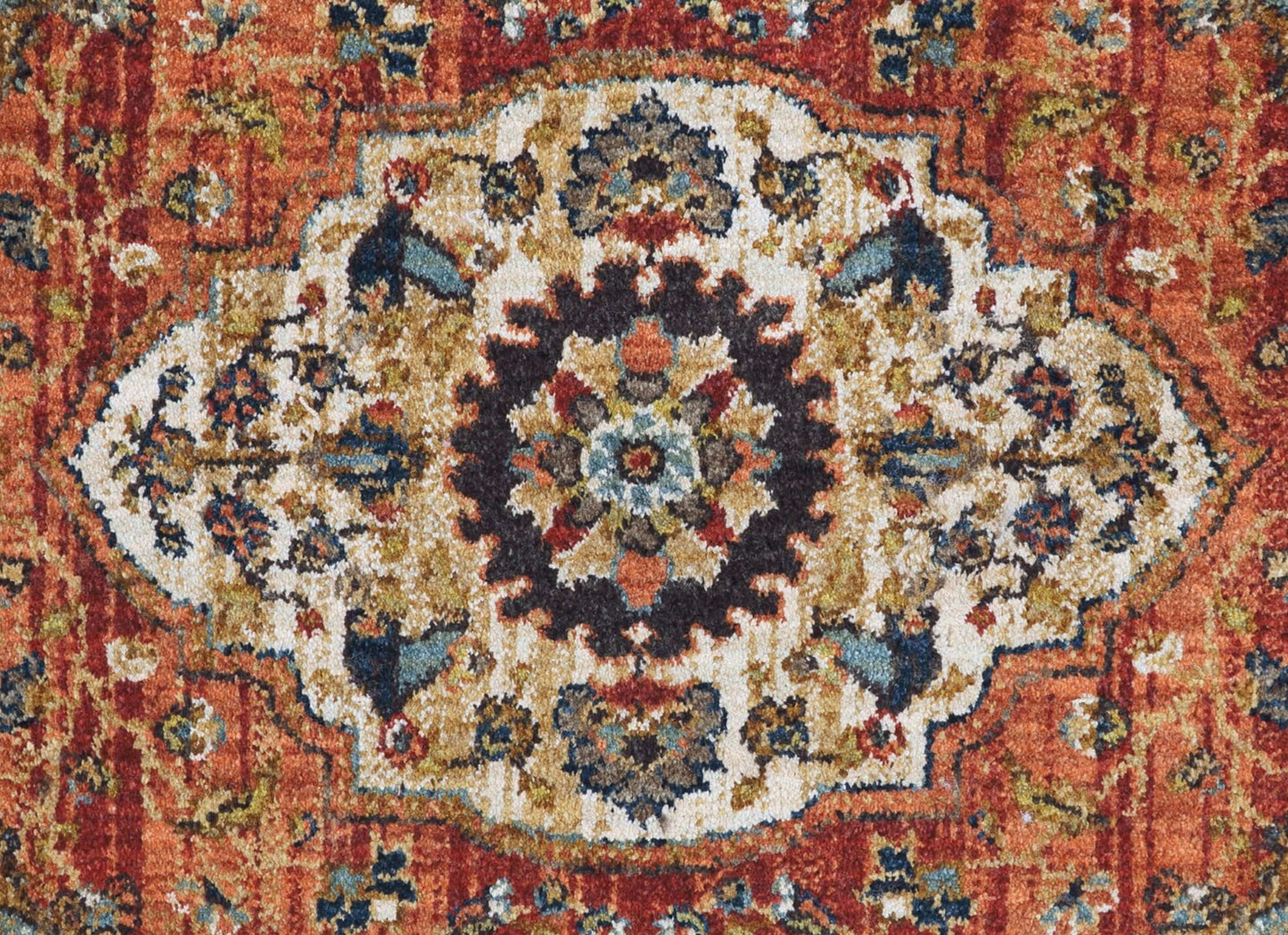 Petra Multi