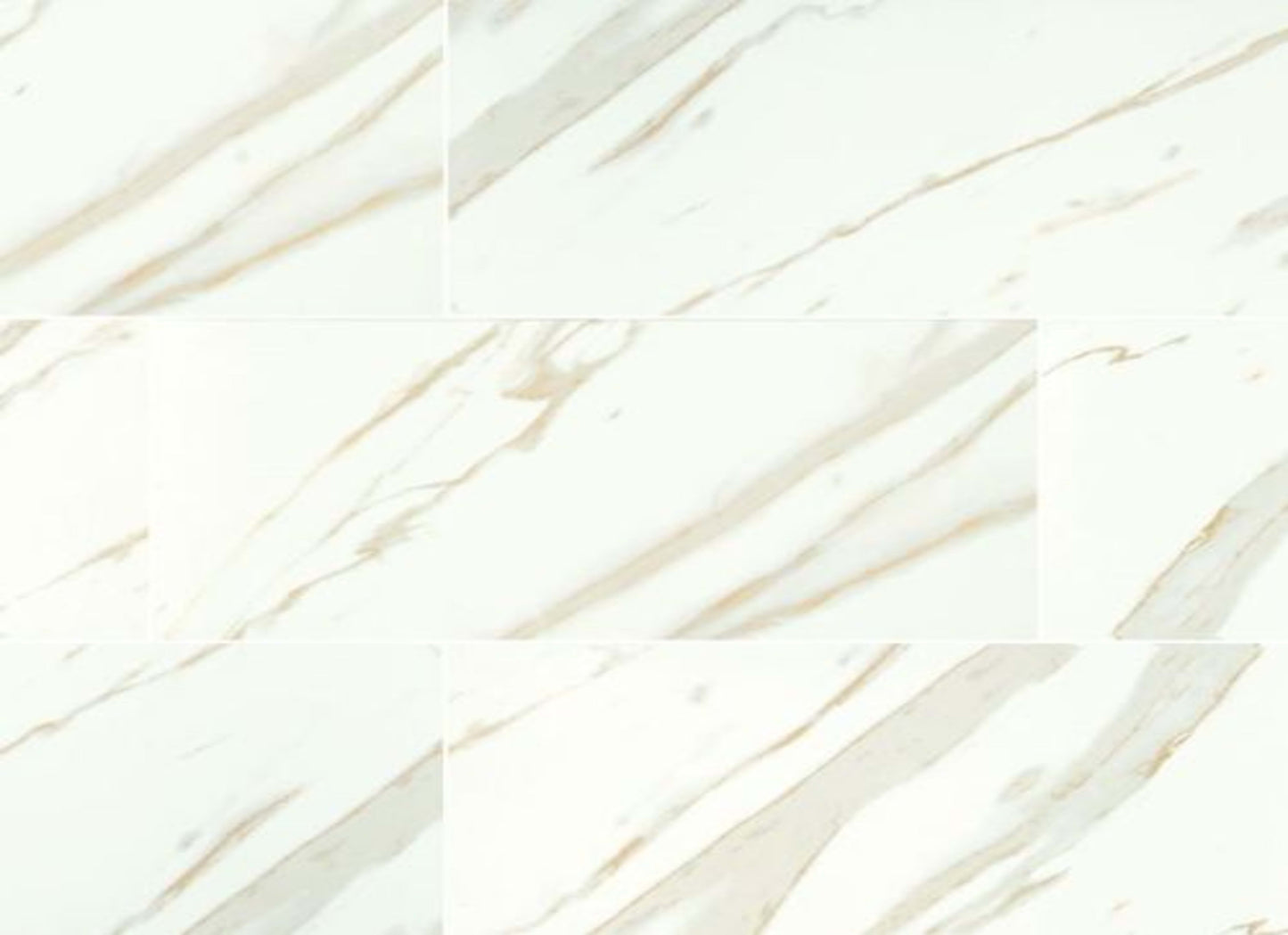 Pietra in Calacatta - 12x24 Matte