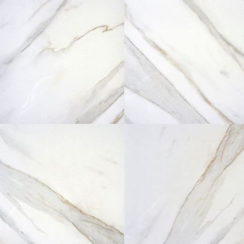 Pietra in Calacatta - 24x24 Polished