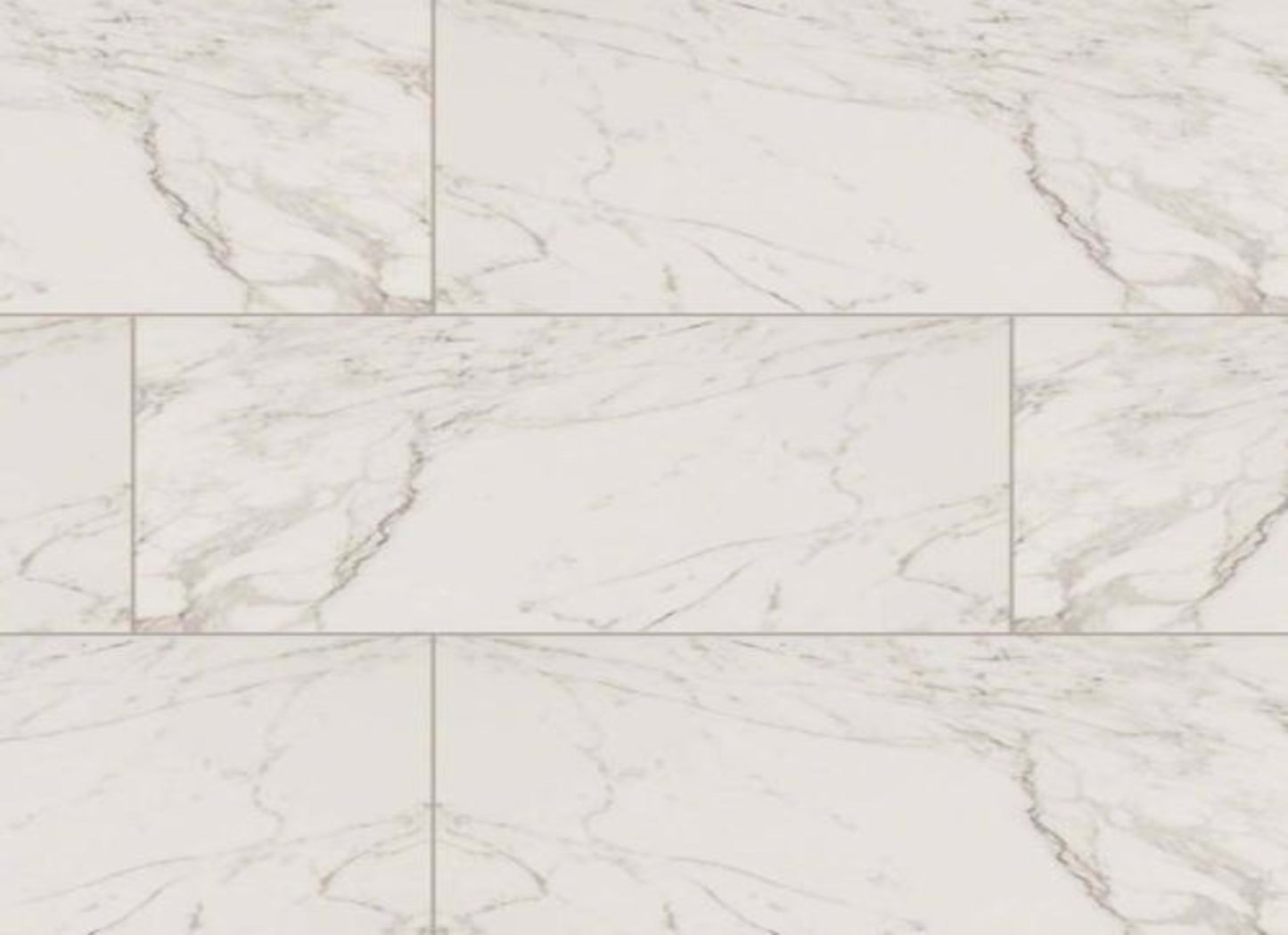 Pietra in Carrara - 12x24 Polished