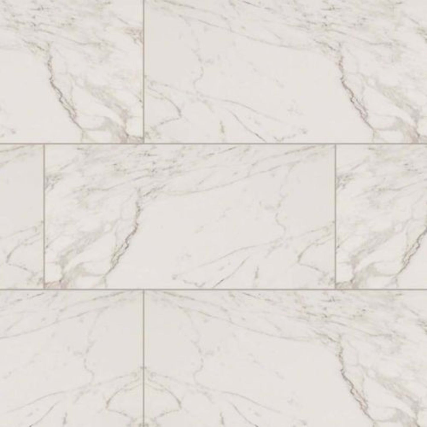 Pietra in Carrara - 12x24 Polished Tile