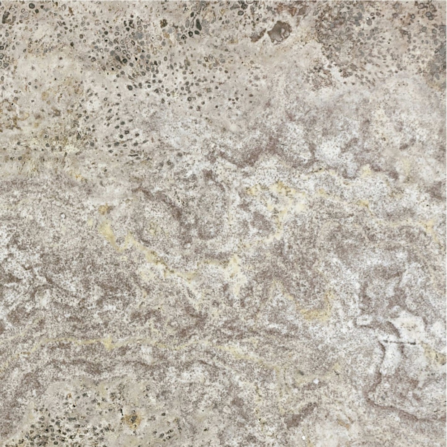 Travertine in Silver Ash Filled & Honed 12x12 Natural Stone